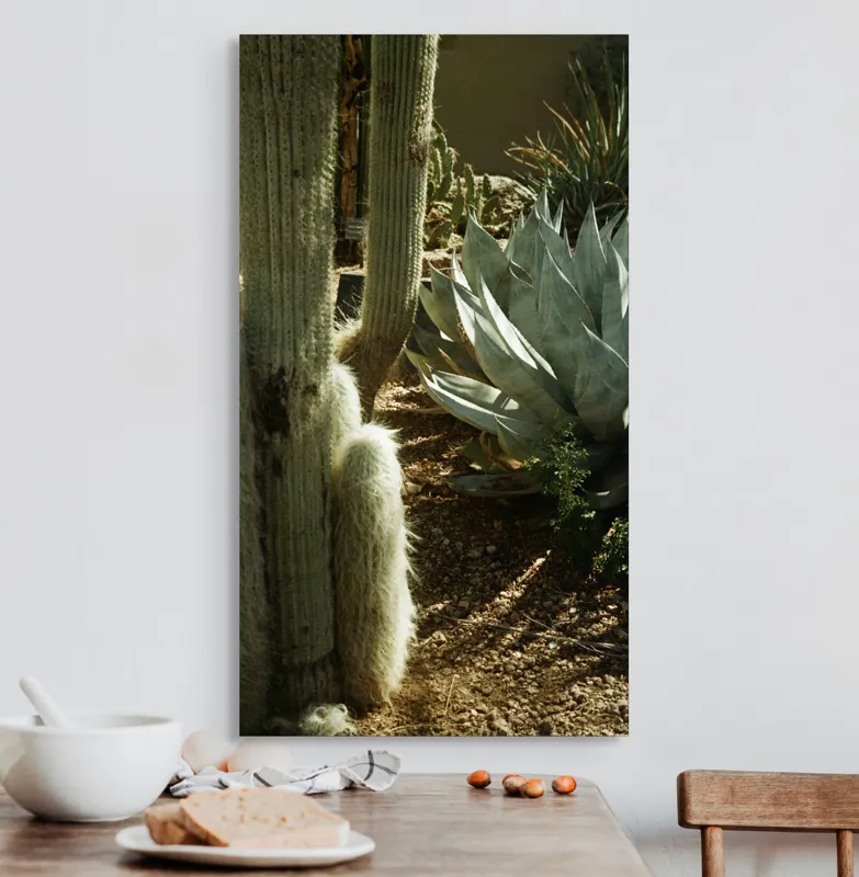 Tablou Canvas, "Cactuși și agave în deșertul arid", Cactus, Agave, Soare, Umbre, Texturi, Desert, Verde, Natural, Peisaj, Arid, 50 x 90 cm – poza 3