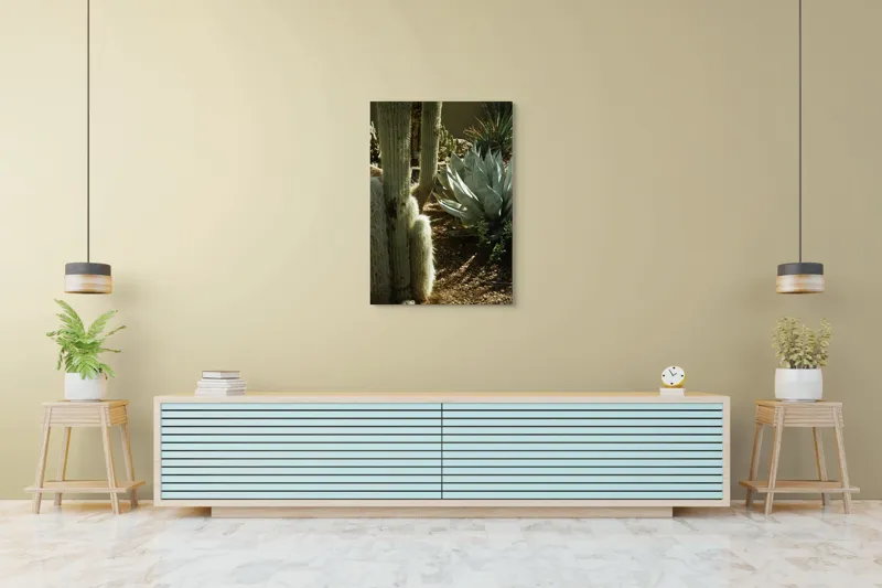Tablou Canvas, "Cactuși și agave în deșertul arid", Cactus, Agave, Soare, Umbre, Texturi, Desert, Verde, Natural, Peisaj, Arid, 70 x 100 cm – poza 5