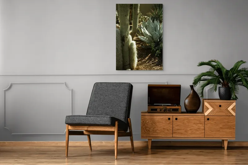 Tablou Canvas, "Cactuși și agave în deșertul arid", Cactus, Agave, Soare, Umbre, Texturi, Desert, Verde, Natural, Peisaj, Arid, 70 x 100 cm – poza 6