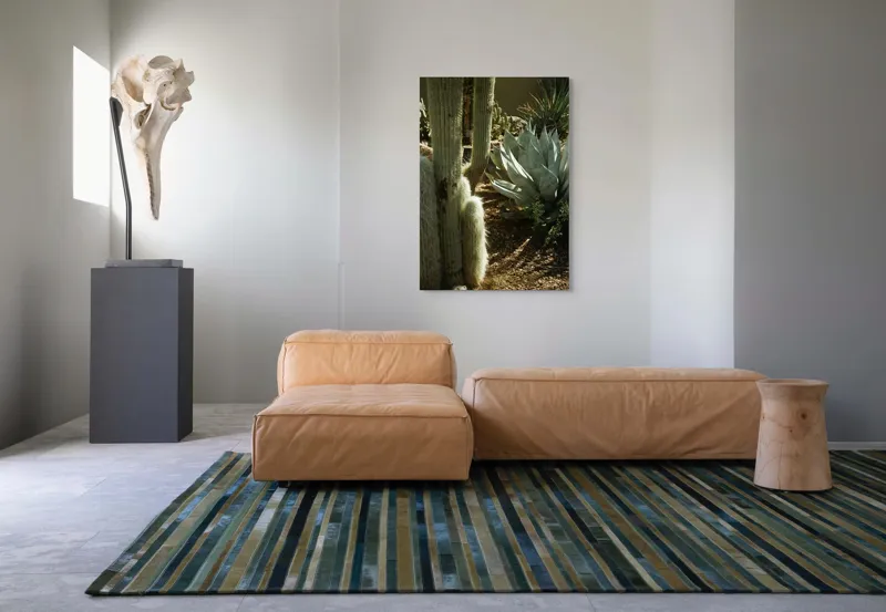 Tablou Canvas, "Cactuși și agave în deșertul arid", Cactus, Agave, Soare, Umbre, Texturi, Desert, Verde, Natural, Peisaj, Arid, 70 x 100 cm – poza 7