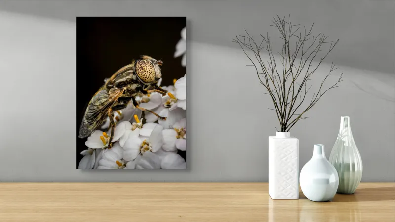 Tablou Canvas, "Albină pe flori albe delicate", Insectă, Ochi, Detaliu, Flori, Natură, Contrast, Textură, Delicat, Microfotografie, Aripi, 39 x 54 cm – poza 4
