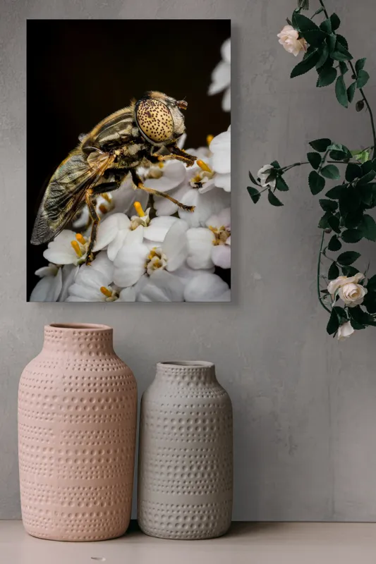 Tablou Canvas, "Albină pe flori albe delicate", Insectă, Ochi, Detaliu, Flori, Natură, Contrast, Textură, Delicat, Microfotografie, Aripi, 39 x 54 cm – poza 6