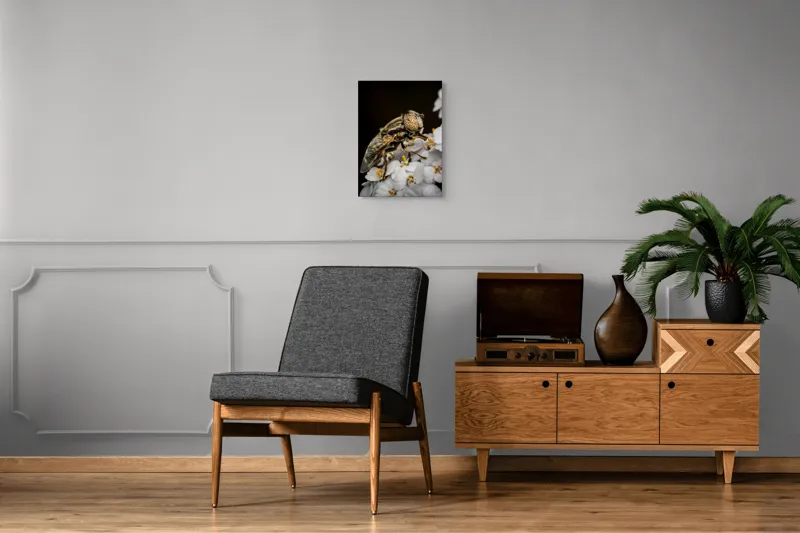 Tablou Canvas, "Albină pe flori albe delicate", Insectă, Ochi, Detaliu, Flori, Natură, Contrast, Textură, Delicat, Microfotografie, Aripi, 39 x 54 cm – poza 8