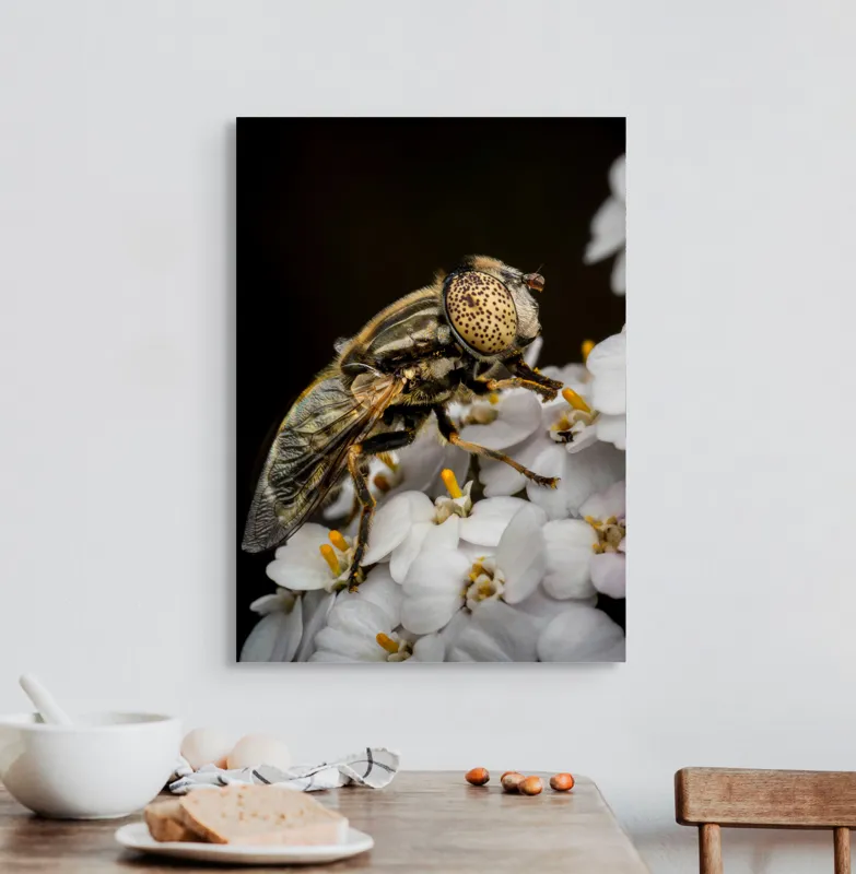 Tablou Canvas, "Albină pe flori albe delicate", Insectă, Ochi, Detaliu, Flori, Natură, Contrast, Textură, Delicat, Microfotografie, Aripi, 50 x 70 cm – poza 3