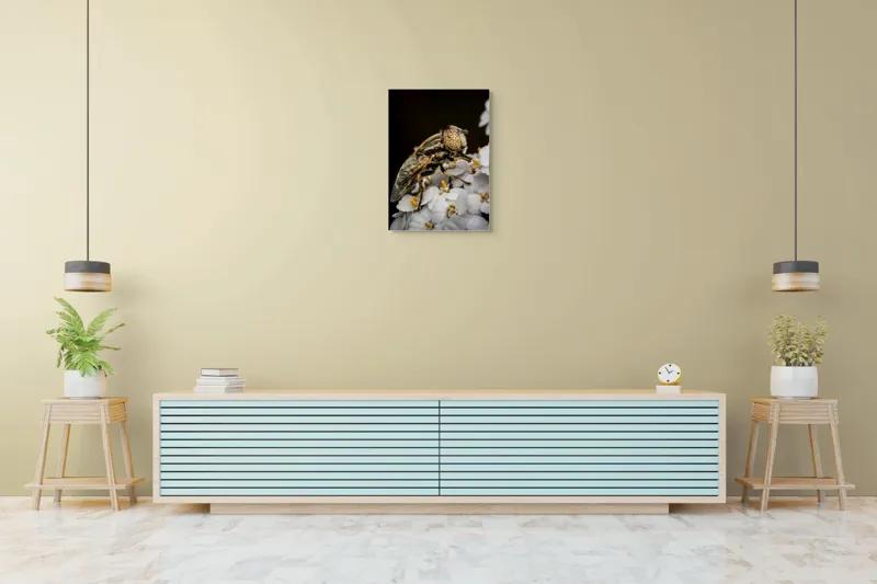 Tablou Canvas, "Albină pe flori albe delicate", Insectă, Ochi, Detaliu, Flori, Natură, Contrast, Textură, Delicat, Microfotografie, Aripi, 50 x 70 cm – poza 6
