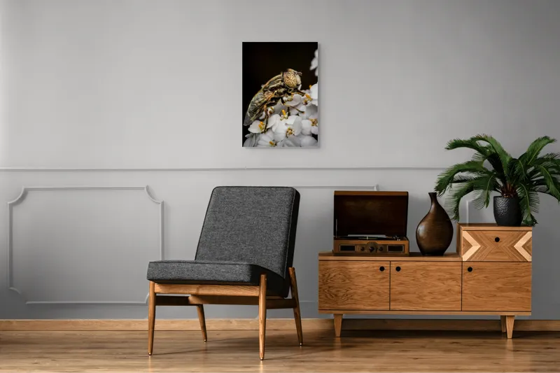 Tablou Canvas, "Albină pe flori albe delicate", Insectă, Ochi, Detaliu, Flori, Natură, Contrast, Textură, Delicat, Microfotografie, Aripi, 50 x 70 cm – poza 8