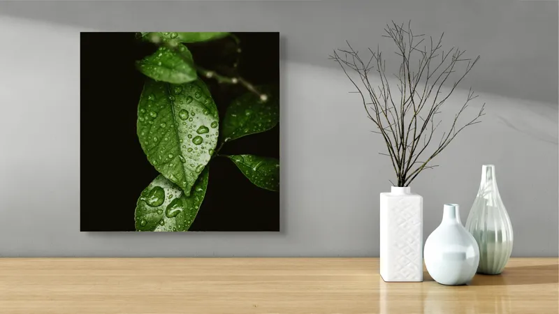 Tablou Canvas, "Frunze strălucind în ploaie ușoară", Frunze, Ploaie, Verde, Prospețime, Natură, Lumină, Picături, Vitalitate, 50 x 50 cm – poza 3