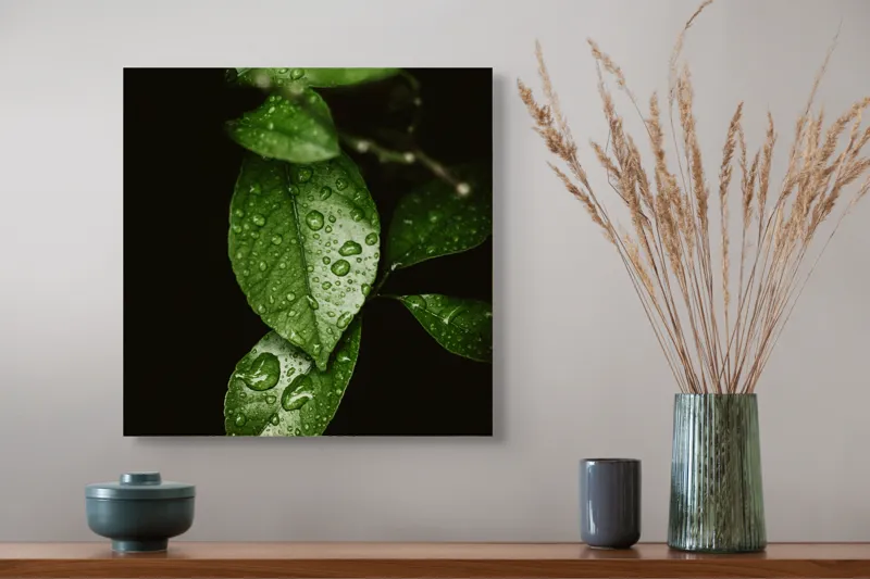 Tablou Canvas, "Frunze strălucind în ploaie ușoară", Frunze, Ploaie, Verde, Prospețime, Natură, Lumină, Picături, Vitalitate, 50 x 50 cm – poza 4