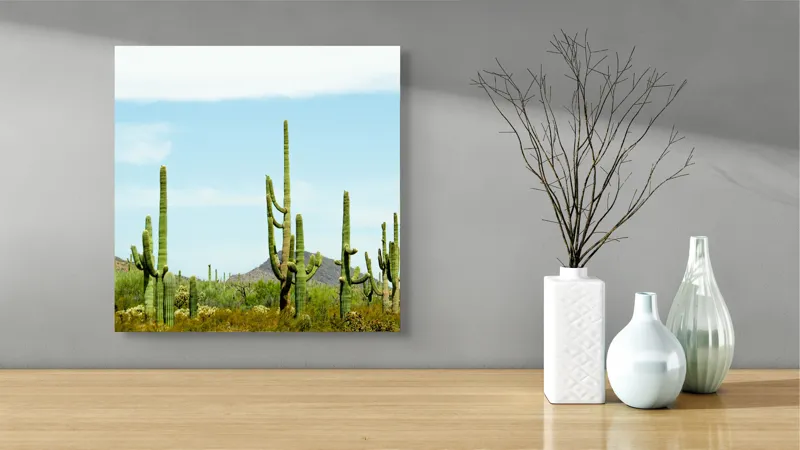 Tablou Canvas, "Cactușii în lumina soarelui deșertic", Cactuși, Deșert, Cer, Vegetație, Munți, 50 x 50 cm – poza 3