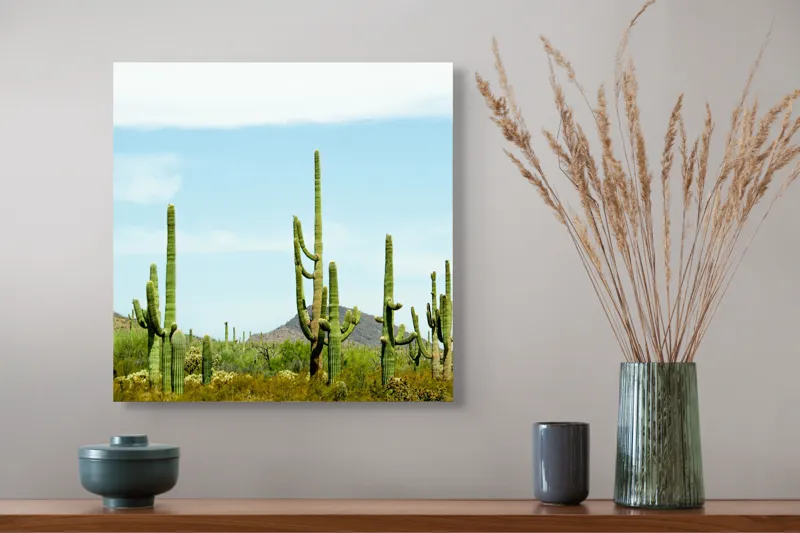 Tablou Canvas, "Cactușii în lumina soarelui deșertic", Cactuși, Deșert, Cer, Vegetație, Munți, 50 x 50 cm – poza 4