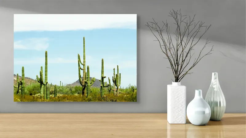 Tablou Canvas, "Cactușii în lumina soarelui deșertic", Cactuși, Deșert, Cer, Vegetație, Munți, 70 x 50 cm – poza 3