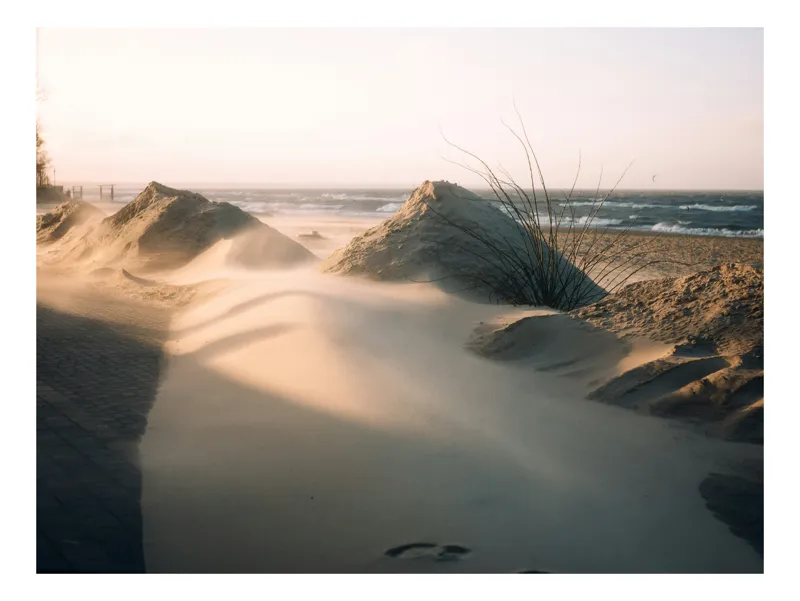 Tablou Canvas, "Vântul modelând dune la apus", Vânt, Nisip, Dune, Apus, Mare, Valuri, Vegetație, Urme, Cer, Lumină, 54 x 39 cm