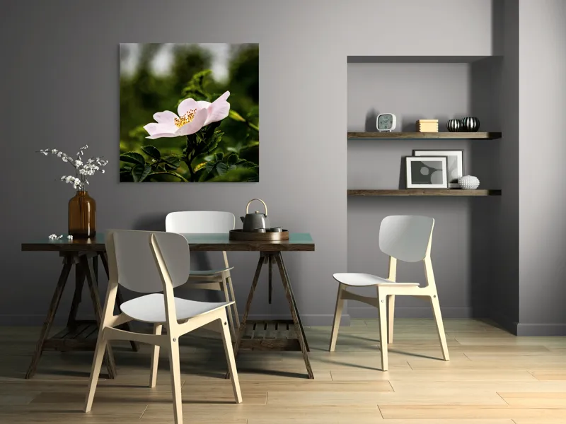 Tablou Canvas, "Trandafir sălbatic în roua dimineții", Floare, Petale, Roz, Frunze, Verde, Natura, Lumina, Detaliu, 100 x 100 cm – poza 6