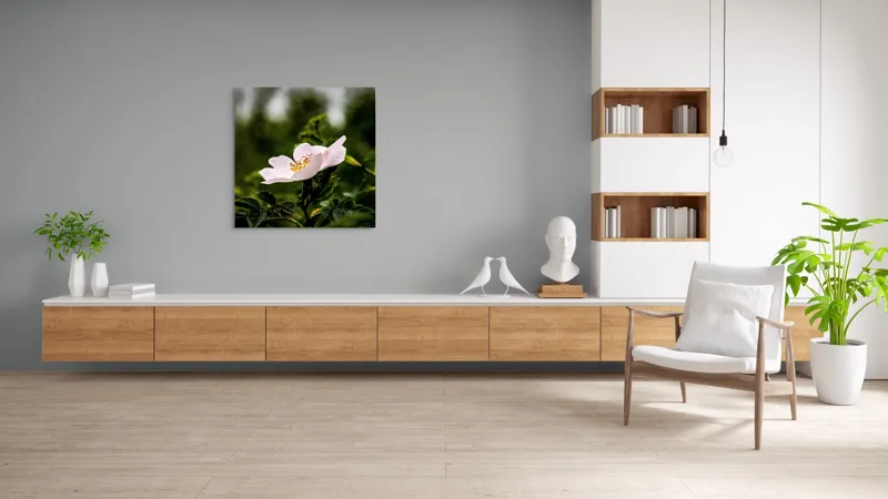 Tablou Canvas, "Trandafir sălbatic în roua dimineții", Floare, Petale, Roz, Frunze, Verde, Natura, Lumina, Detaliu, 100 x 100 cm – poza 8