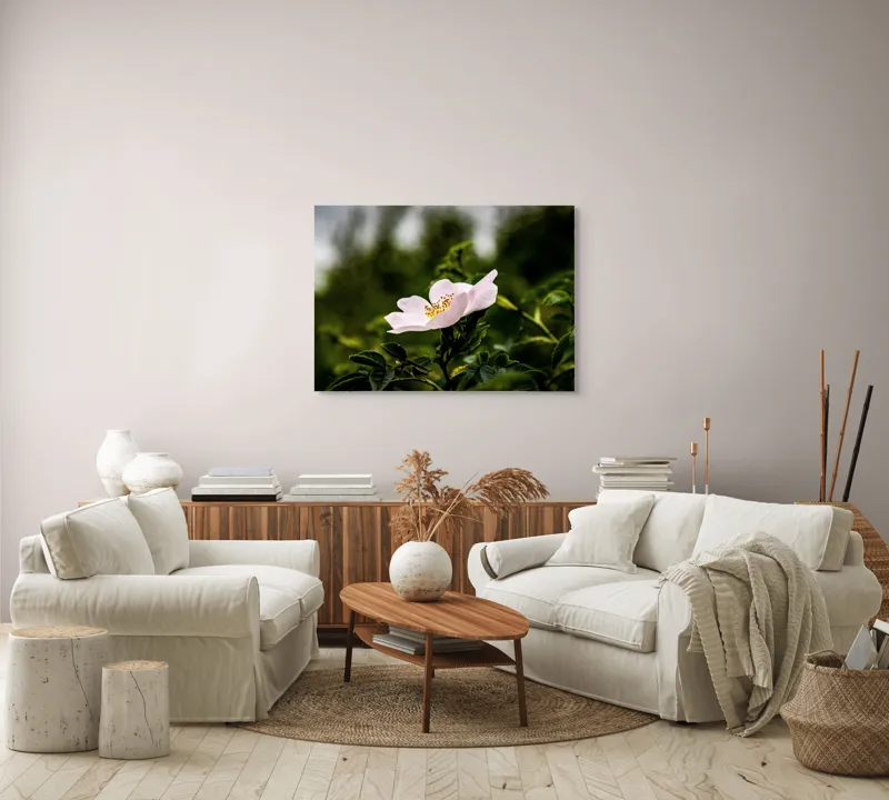 Tablou Canvas, "Trandafir sălbatic în roua dimineții", Floare, Petale, Roz, Frunze, Verde, Natura, Lumina, Detaliu, 100 x 70 cm – poza 3