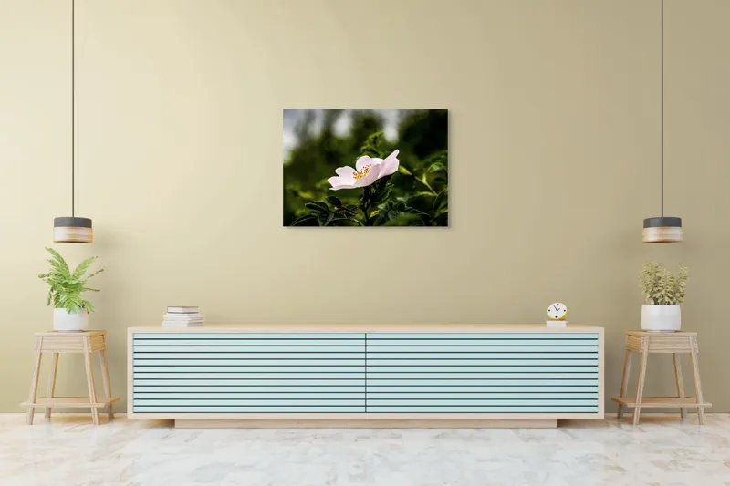 Tablou Canvas, "Trandafir sălbatic în roua dimineții", Floare, Petale, Roz, Frunze, Verde, Natura, Lumina, Detaliu, 100 x 70 cm – poza 4
