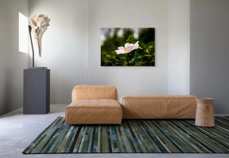 Tablou Canvas, "Trandafir sălbatic în roua dimineții", Floare, Petale, Roz, Frunze, Verde, Natura, Lumina, Detaliu, 100 x 70 cm – poza 7
