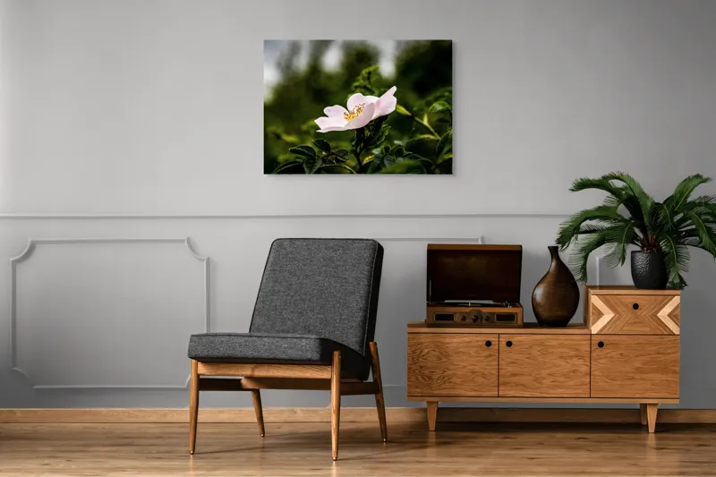Tablou Canvas, "Trandafir sălbatic în roua dimineții", Floare, Petale, Roz, Frunze, Verde, Natura, Lumina, Detaliu, 100 x 70 cm – poza 8