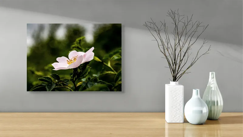 Tablou Canvas, "Trandafir sălbatic în roua dimineții", Floare, Petale, Roz, Frunze, Verde, Natura, Lumina, Detaliu, 54 x 39 cm – poza 3