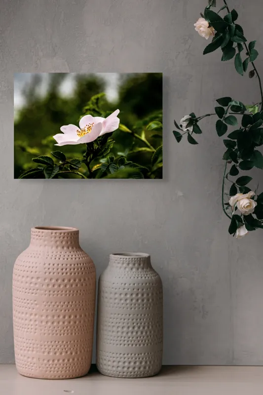 Tablou Canvas, "Trandafir sălbatic în roua dimineții", Floare, Petale, Roz, Frunze, Verde, Natura, Lumina, Detaliu, 54 x 39 cm – poza 8