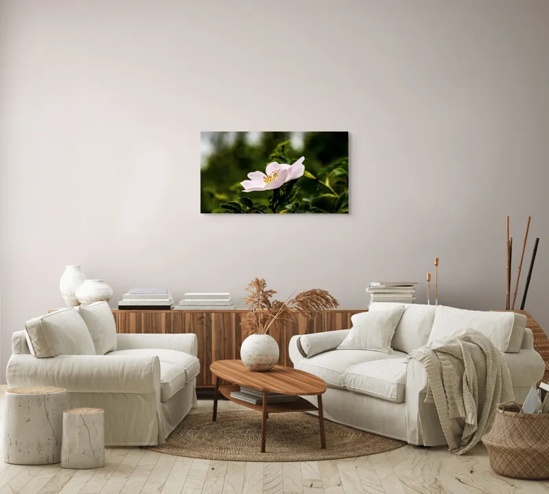 Tablou Canvas, "Trandafir sălbatic în roua dimineții", Floare, Petale, Roz, Frunze, Verde, Natura, Lumina, Detaliu, 90 x 50 cm – poza 4