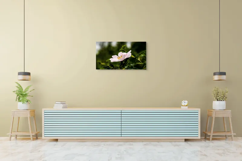 Tablou Canvas, "Trandafir sălbatic în roua dimineții", Floare, Petale, Roz, Frunze, Verde, Natura, Lumina, Detaliu, 90 x 50 cm – poza 5