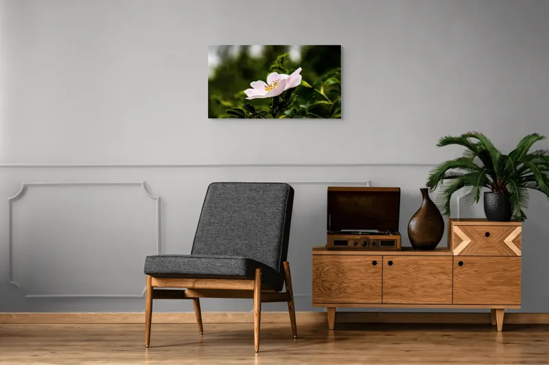 Tablou Canvas, "Trandafir sălbatic în roua dimineții", Floare, Petale, Roz, Frunze, Verde, Natura, Lumina, Detaliu, 90 x 50 cm – poza 6