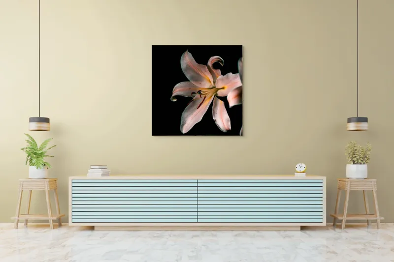 Tablou Canvas, "Lilia în întunericul tăcerii liniștitoare", Floare, Delicatețe, Contrast, Eleganță, Petale, Întuneric, Strălucire, Mister, Frumusețe, Grație, 100 x 100 cm – poza 5