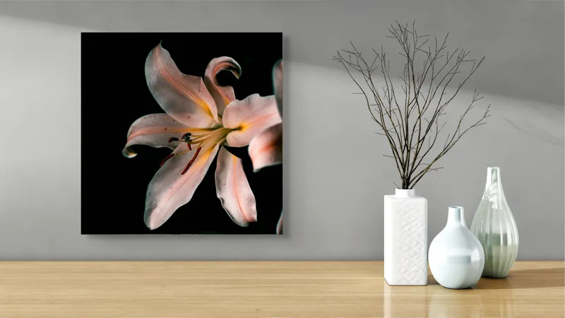 Tablou Canvas, "Lilia în întunericul tăcerii liniștitoare", Floare, Delicatețe, Contrast, Eleganță, Petale, Întuneric, Strălucire, Mister, Frumusețe, Grație, 50 x 50 cm – poza 3