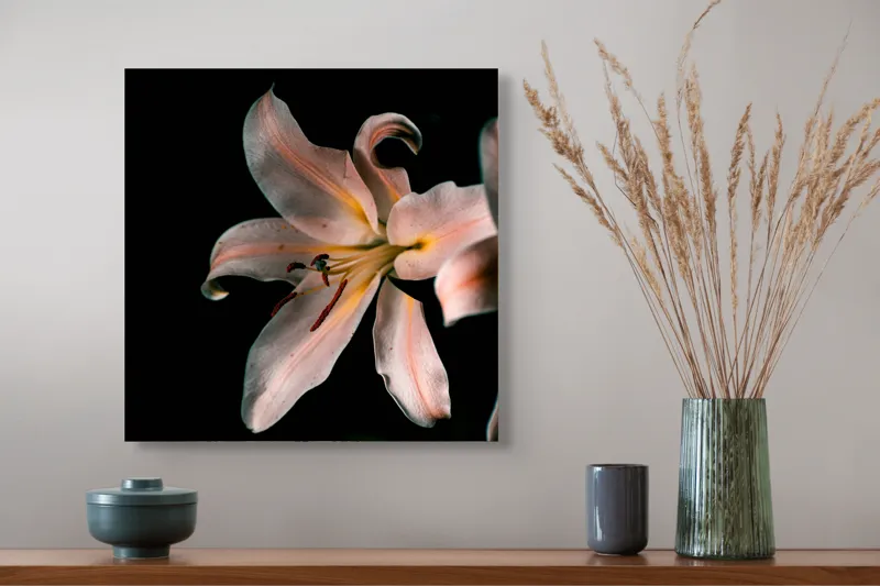 Tablou Canvas, "Lilia în întunericul tăcerii liniștitoare", Floare, Delicatețe, Contrast, Eleganță, Petale, Întuneric, Strălucire, Mister, Frumusețe, Grație, 50 x 50 cm – poza 4