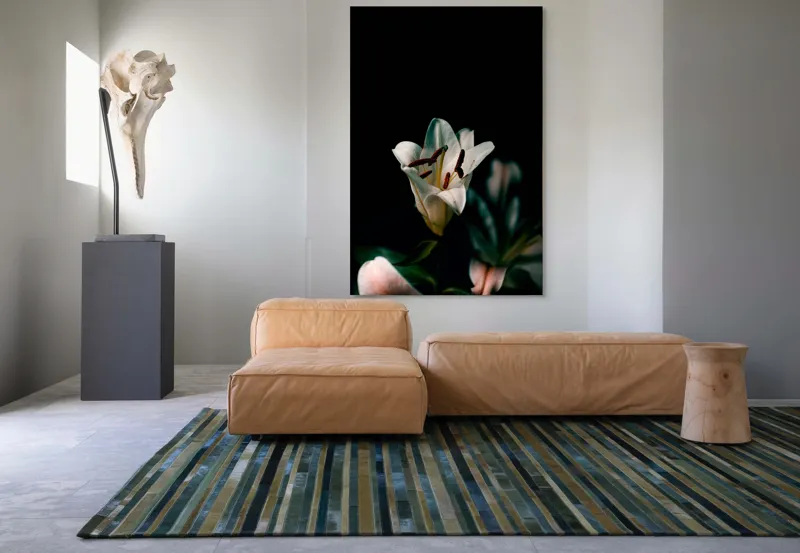 Tablou Canvas, "Frumusețea ascunsă a crinului alb", Floare, Delicatețe, Lumină, Contrast, Petale, Gratie, Eleganță, Natură, 100 x 150 cm – poza 7