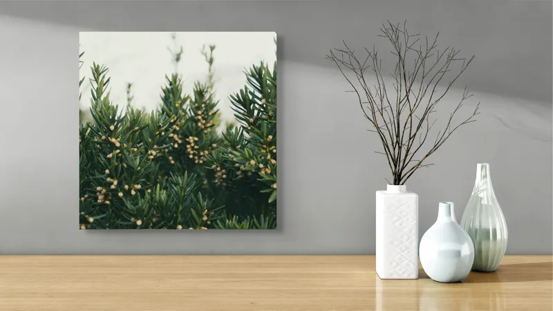 Tablou Canvas, "Mugurii misteriosi ai naturii veșnic verzi", Verde, Crenguțe, Muguri, Natural, Vegetație, Densitate, Aproape, 50 x 50 cm – poza 3