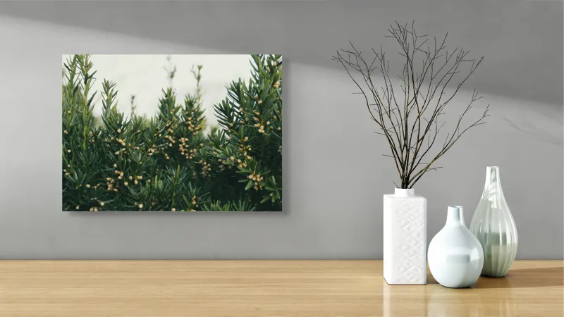 Tablou Canvas, "Mugurii misteriosi ai naturii veșnic verzi", Verde, Crenguțe, Muguri, Natural, Vegetație, Densitate, Aproape, 54 x 39 cm – poza 3