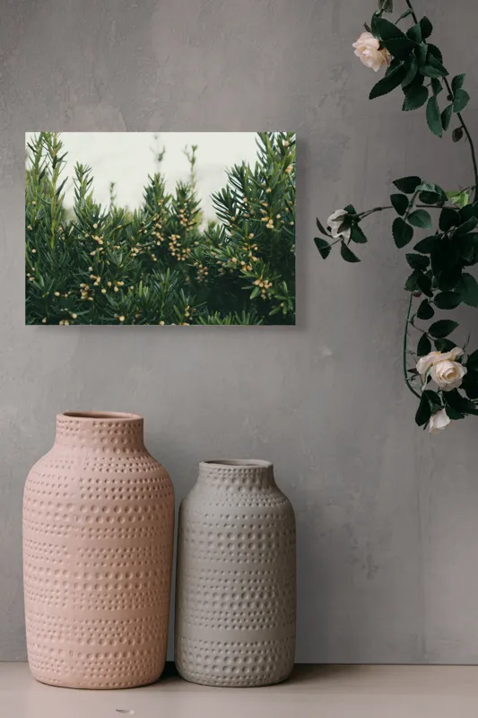 Tablou Canvas, "Mugurii misteriosi ai naturii veșnic verzi", Verde, Crenguțe, Muguri, Natural, Vegetație, Densitate, Aproape, 54 x 39 cm – poza 8