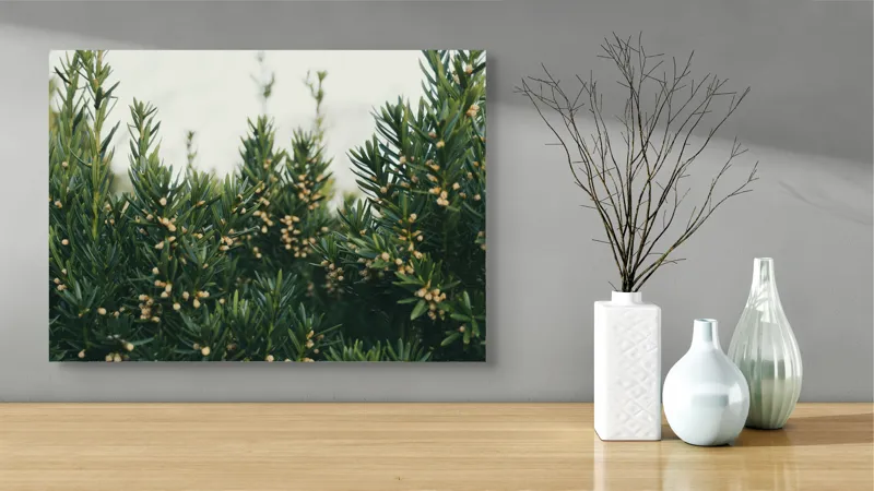 Tablou Canvas, "Mugurii misteriosi ai naturii veșnic verzi", Verde, Crenguțe, Muguri, Natural, Vegetație, Densitate, Aproape, 70 x 50 cm – poza 3