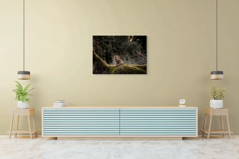 Tablou Canvas, "Vulpea pe trunchi acoperit de mușchi", Fox, Moss, Forest, Tranquil, Nature, Branches, Wildlife, Greenery, 100 x 70 cm – poza 4