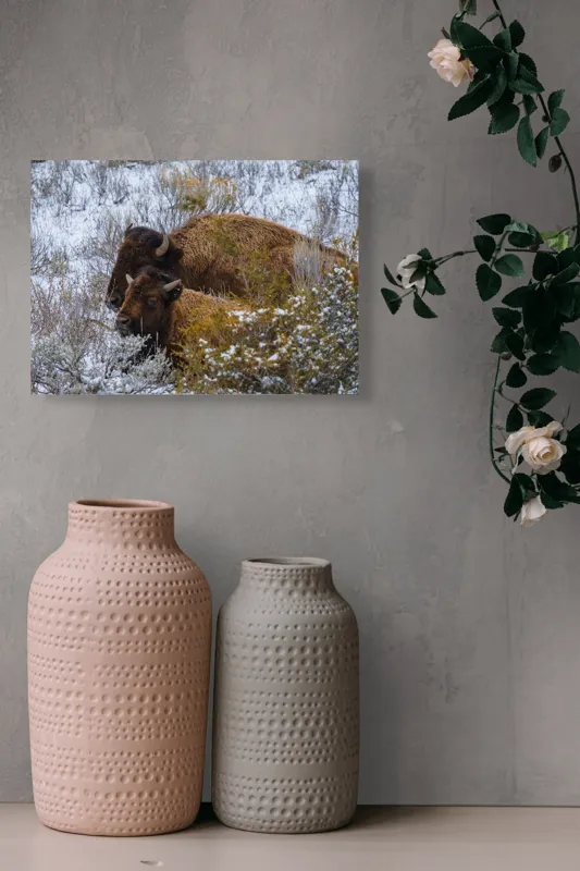 Tablou Canvas, "Zimbri ascunși în peisajul de iarnă", Zăpadă, Bizoni, Iarnă, Tufișuri, Peisaj, Blană, Coarne, Natură, Serenitate, Vegetație., 54 x 39 cm – poza 8