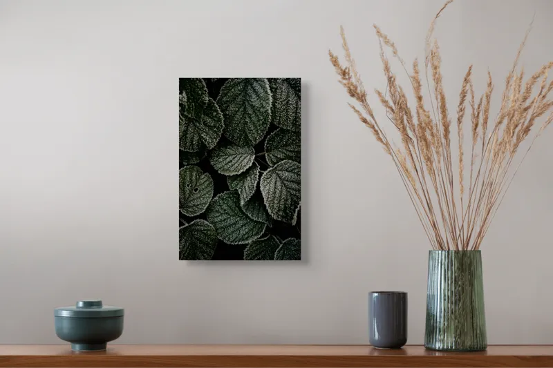 Tablou Canvas, "Frunzele înghețate ale dimineții", Frunze, Gheață, Fin, Textură, Verde, Rece, Natură, Îngheț, Întunecat, Detaliu, 26 x 39 cm – poza 5