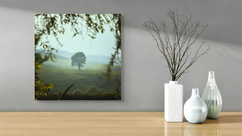 Tablou Canvas, "Arbore singuratic în câmpie verde", Verde, Solitar, Natură, Coline, Frunziș, Perspectivă, Însorit, Calm, Pitoresc, Împădurit, 50 x 50 cm – poza 3