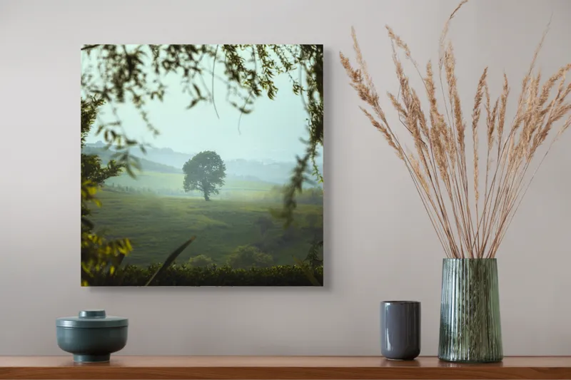 Tablou Canvas, "Arbore singuratic în câmpie verde", Verde, Solitar, Natură, Coline, Frunziș, Perspectivă, Însorit, Calm, Pitoresc, Împădurit, 50 x 50 cm – poza 4