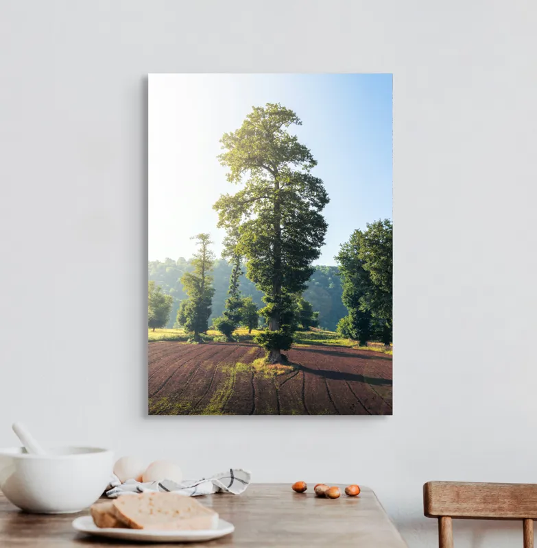 Tablou Canvas, "Armonia naturii sub cer senin", Arbore, Soare, Câmp, Verdeață, Cer, Răsărit, Pământ, Natură, Peisaj, Liniște, 50 x 70 cm – poza 3