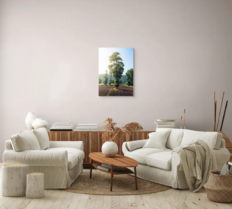 Tablou Canvas, "Armonia naturii sub cer senin", Arbore, Soare, Câmp, Verdeață, Cer, Răsărit, Pământ, Natură, Peisaj, Liniște, 50 x 70 cm – poza 4