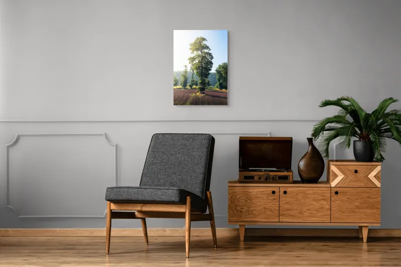Tablou Canvas, "Armonia naturii sub cer senin", Arbore, Soare, Câmp, Verdeață, Cer, Răsărit, Pământ, Natură, Peisaj, Liniște, 50 x 70 cm – poza 8