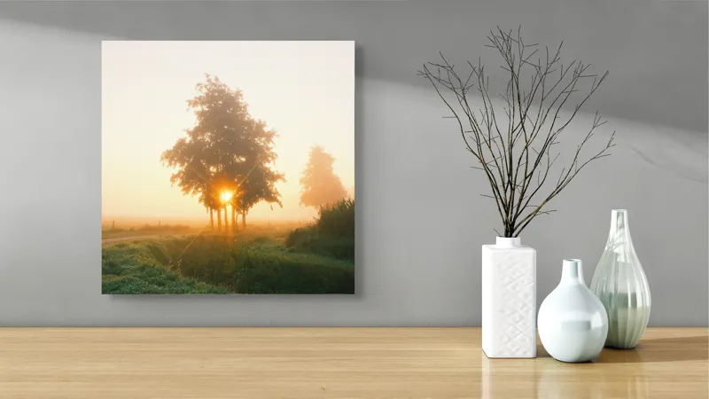 Tablou Canvas, "Răsărit magic în ceața dimineții", Cale, Câmp, Răsărit, Copaci, Rouă, Ceață, Lumină, Natură, 50 x 50 cm – poza 3