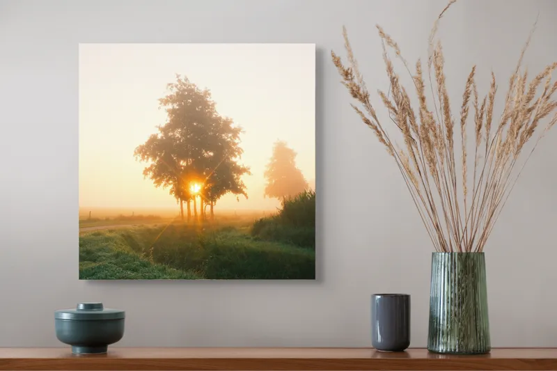 Tablou Canvas, "Răsărit magic în ceața dimineții", Cale, Câmp, Răsărit, Copaci, Rouă, Ceață, Lumină, Natură, 50 x 50 cm – poza 4