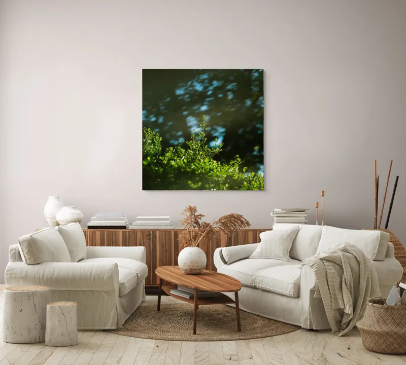 Tablou Canvas, "Lumina soarelui prin frunziș verde", Verde, Frunziș, Umbre, Răcoare, Natură, Lumină, Calm, Seninătate, 100 x 100 cm – poza 3
