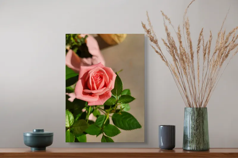 Tablou Canvas, "Trandafirul culorilor delicate ale iubirii", Frumusețe, Delicatețe, Roz, Petale, Frunză, Natură, Prospețime, Grădină, Eleganță, Simplitate, 39 x 54 cm – poza 3