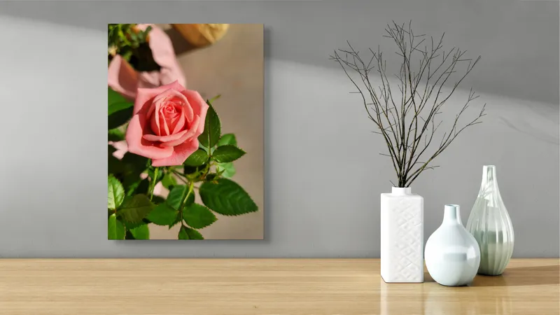 Tablou Canvas, "Trandafirul culorilor delicate ale iubirii", Frumusețe, Delicatețe, Roz, Petale, Frunză, Natură, Prospețime, Grădină, Eleganță, Simplitate, 39 x 54 cm – poza 4