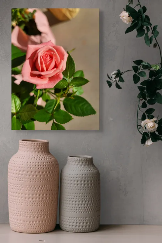 Tablou Canvas, "Trandafirul culorilor delicate ale iubirii", Frumusețe, Delicatețe, Roz, Petale, Frunză, Natură, Prospețime, Grădină, Eleganță, Simplitate, 39 x 54 cm – poza 6