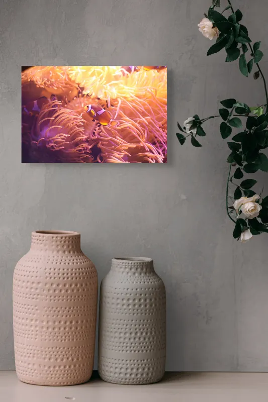 Tablou Canvas, "Clovn printre tentaculele anemonelor vii", Corali, Pești, Anemone, Subacvatic, Colorat, Vibrant, Acvatic, Oceanic, 39 x 26 cm – poza 4